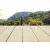 Deska tarasowa WPC Wild Wood Classic Gold 4000x150x25 - II GATUNEK